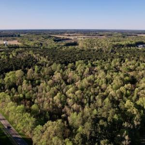 Photo #17 of SOLD property in Off May Blvd, Farmville, NC 30.3 acres