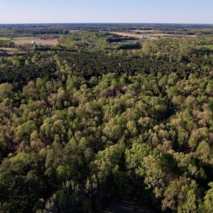 Photo #18 of SOLD property in Off May Blvd, Farmville, NC 30.3 acres