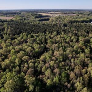 Photo #19 of SOLD property in Off May Blvd, Farmville, NC 30.3 acres
