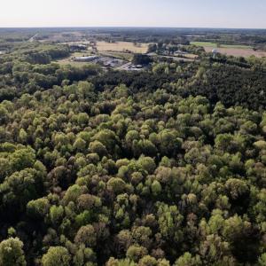 Photo #21 of SOLD property in Off May Blvd, Farmville, NC 30.3 acres