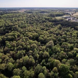 Photo #22 of SOLD property in Off May Blvd, Farmville, NC 30.3 acres