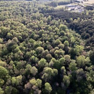 Photo #23 of SOLD property in Off May Blvd, Farmville, NC 30.3 acres