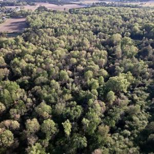 Photo #25 of SOLD property in Off May Blvd, Farmville, NC 30.3 acres