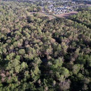 Photo #27 of SOLD property in Off May Blvd, Farmville, NC 30.3 acres