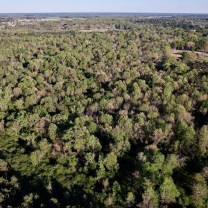 Photo #28 of SOLD property in Off May Blvd, Farmville, NC 30.3 acres