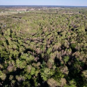 Photo #29 of SOLD property in Off May Blvd, Farmville, NC 30.3 acres