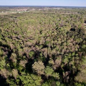 Photo #30 of SOLD property in Off May Blvd, Farmville, NC 30.3 acres