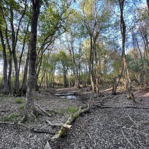 Photo #5 of SOLD property in Off May Blvd, Farmville, NC 30.3 acres