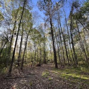Photo #8 of SOLD property in Off May Blvd, Farmville, NC 30.3 acres
