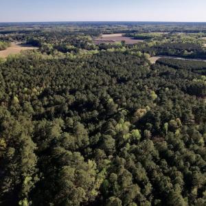 Photo #9 of SOLD property in Off 4th Street , Macclesfield, NC 20.2 acres