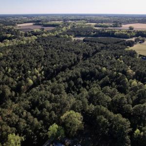 Photo #10 of SOLD property in Off 4th Street , Macclesfield, NC 20.2 acres