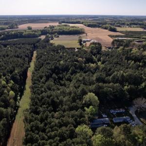 Photo #11 of SOLD property in Off 4th Street , Macclesfield, NC 20.2 acres