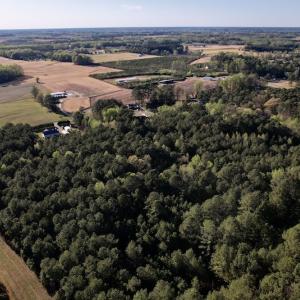 Photo #12 of SOLD property in Off 4th Street , Macclesfield, NC 20.2 acres