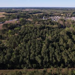 Photo #13 of SOLD property in Off 4th Street , Macclesfield, NC 20.2 acres