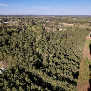 Photo #14 of SOLD property in Off 4th Street , Macclesfield, NC 20.2 acres