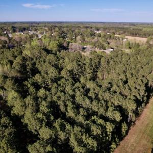 Photo #15 of SOLD property in Off 4th Street , Macclesfield, NC 20.2 acres