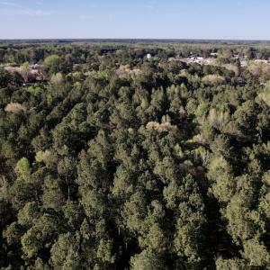 Photo #16 of SOLD property in Off 4th Street , Macclesfield, NC 20.2 acres
