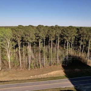 Photo #21 of SOLD property in Off 4th Street , Macclesfield, NC 20.2 acres