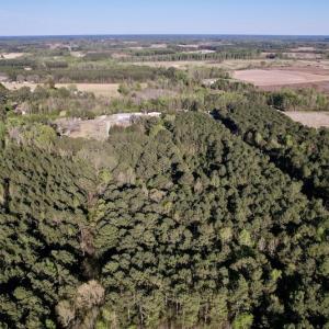 Photo #4 of SOLD property in Off 4th Street , Macclesfield, NC 20.2 acres
