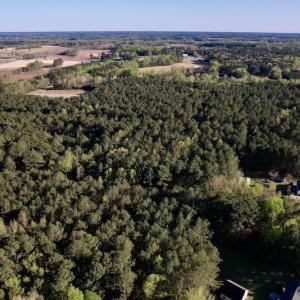 Photo #7 of SOLD property in Off 4th Street , Macclesfield, NC 20.2 acres