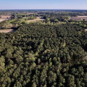Photo #8 of SOLD property in Off 4th Street , Macclesfield, NC 20.2 acres
