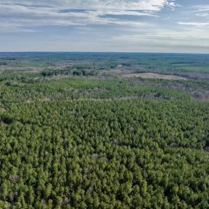 Photo #9 of SOLD property in Off Baltimore Church Road , Warrenton, NC 72.5 acres