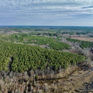 Photo #11 of SOLD property in Off Baltimore Church Road , Warrenton, NC 72.5 acres