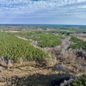 Photo #12 of SOLD property in Off Baltimore Church Road , Warrenton, NC 72.5 acres