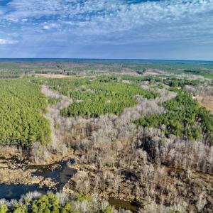 Photo #13 of SOLD property in Off Baltimore Church Road , Warrenton, NC 72.5 acres