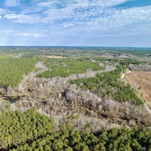 Photo #14 of SOLD property in Off Baltimore Church Road , Warrenton, NC 72.5 acres