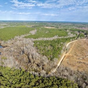 Photo #15 of SOLD property in Off Baltimore Church Road , Warrenton, NC 72.5 acres