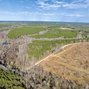 Photo #16 of SOLD property in Off Baltimore Church Road , Warrenton, NC 72.5 acres