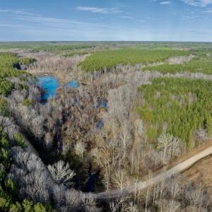 Photo #18 of SOLD property in Off Baltimore Church Road , Warrenton, NC 72.5 acres