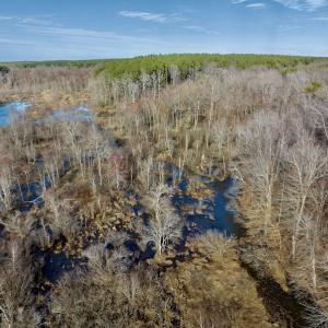 Photo #19 of SOLD property in Off Baltimore Church Road , Warrenton, NC 72.5 acres