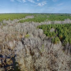 Photo #20 of SOLD property in Off Baltimore Church Road , Warrenton, NC 72.5 acres