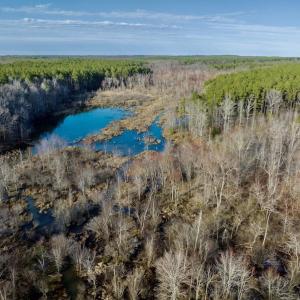 Photo #21 of SOLD property in Off Baltimore Church Road , Warrenton, NC 72.5 acres