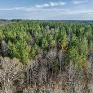 Photo #23 of SOLD property in Off Baltimore Church Road , Warrenton, NC 72.5 acres