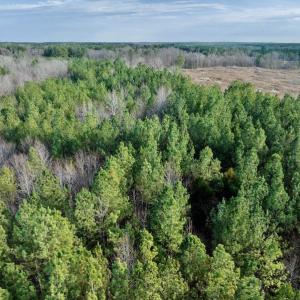 Photo #25 of SOLD property in Off Baltimore Church Road , Warrenton, NC 72.5 acres