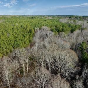 Photo #26 of SOLD property in Off Baltimore Church Road , Warrenton, NC 72.5 acres