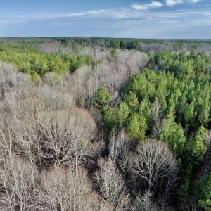 Photo #27 of SOLD property in Off Baltimore Church Road , Warrenton, NC 72.5 acres