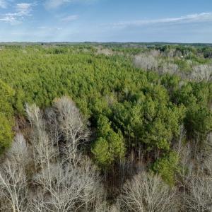 Photo #28 of SOLD property in Off Baltimore Church Road , Warrenton, NC 72.5 acres