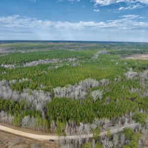 Photo #2 of SOLD property in Off Baltimore Church Road , Warrenton, NC 72.5 acres