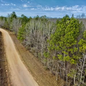 Photo #30 of SOLD property in Off Baltimore Church Road , Warrenton, NC 72.5 acres