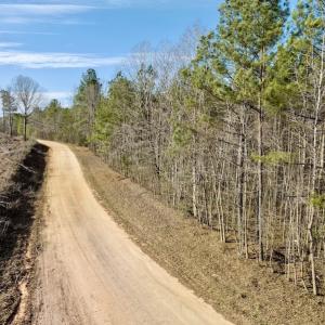 Photo #31 of SOLD property in Off Baltimore Church Road , Warrenton, NC 72.5 acres