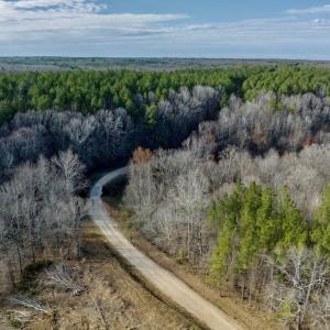Photo #35 of SOLD property in Off Baltimore Church Road , Warrenton, NC 72.5 acres