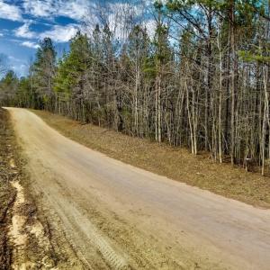 Photo #37 of SOLD property in Off Baltimore Church Road , Warrenton, NC 72.5 acres