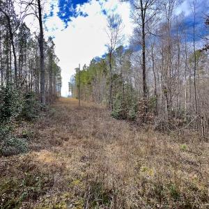 Photo #38 of SOLD property in Off Baltimore Church Road , Warrenton, NC 72.5 acres