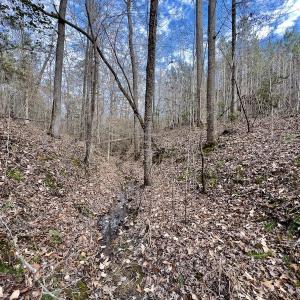Photo #41 of SOLD property in Off Baltimore Church Road , Warrenton, NC 72.5 acres