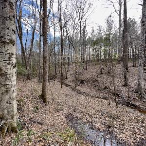 Photo #42 of SOLD property in Off Baltimore Church Road , Warrenton, NC 72.5 acres