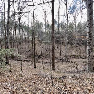 Photo #43 of SOLD property in Off Baltimore Church Road , Warrenton, NC 72.5 acres